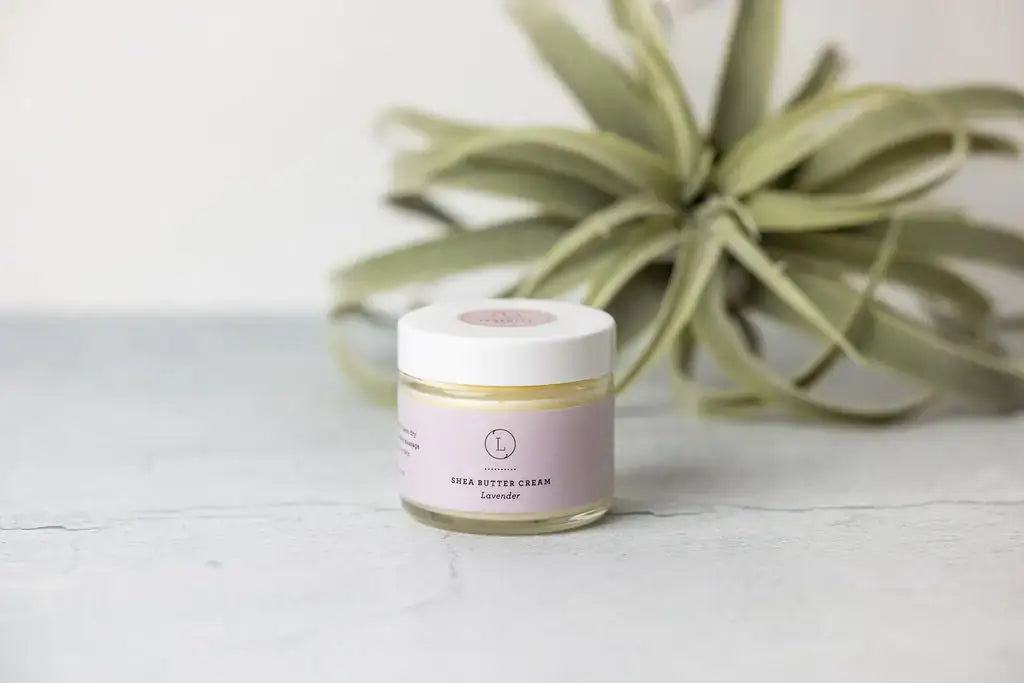Jar of Lavender Shea Butter Body Cream beside a green plant, perfect for hydrating dry skin.
